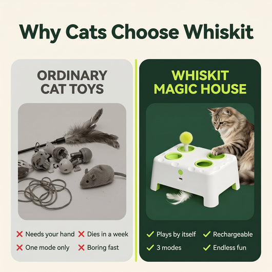 Knead Magic House