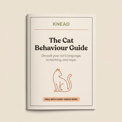 Cat Behaviour eBook