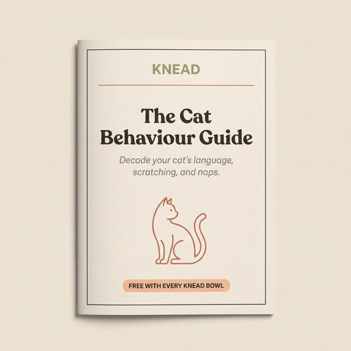 Cat Behaviour eBook