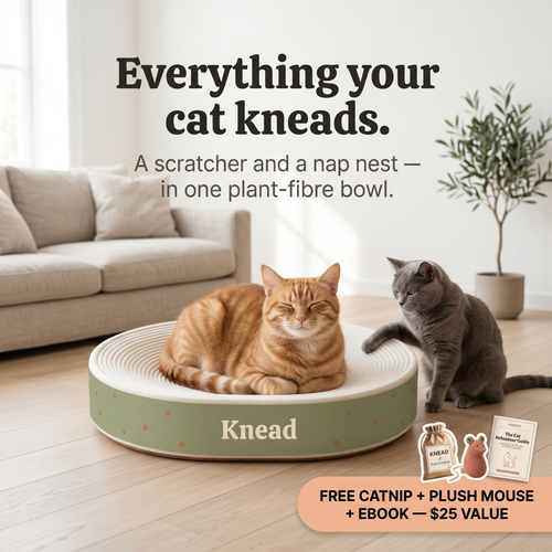 Knead Cloud Bowl