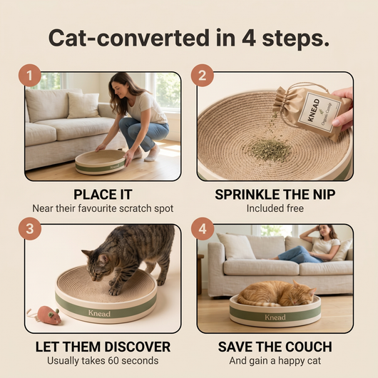 Knead Cloud Bowl