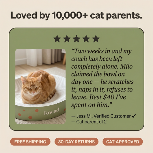 Knead Cloud Bowl