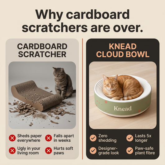 Knead Cloud Bowl