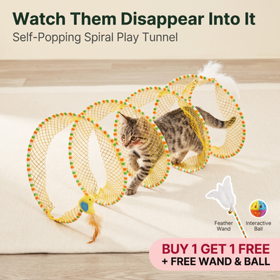 Knead Twister Spiral Tunnel