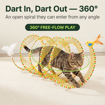 Knead Twister Spiral Tunnel