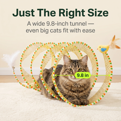 Knead Twister Spiral Tunnel